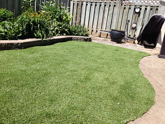 Artificial Dog Run in Brampton