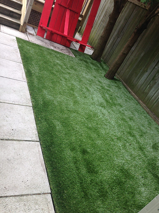 Pet Turf in Leaside
