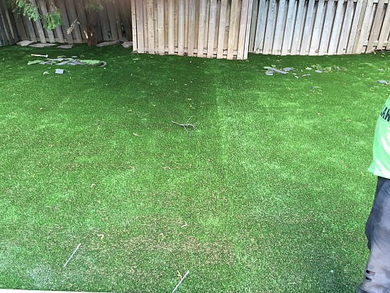 The Forest in Foresthill