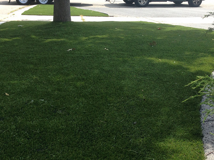 Ultimate Guide of How to Clean Artificial Grass