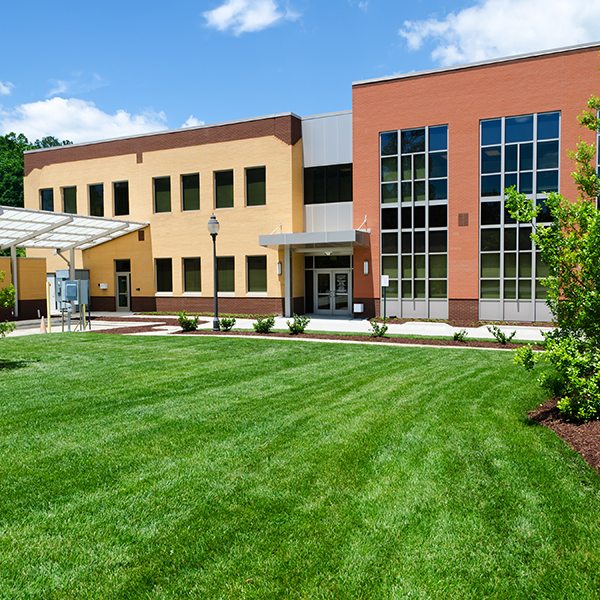 How an Artificial Turf Can Help Cities Save Money